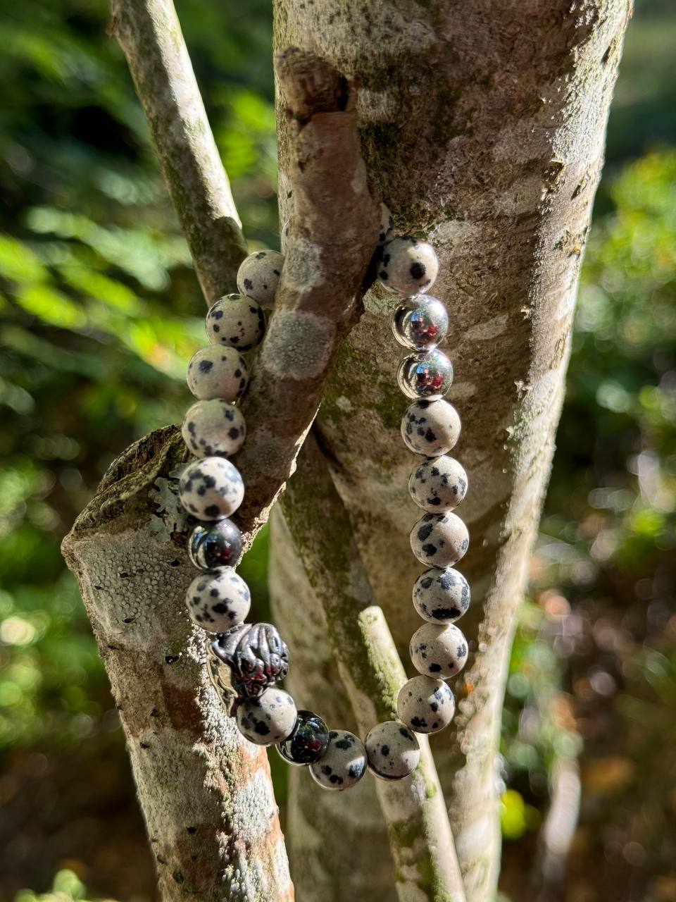 Spotted Dalmatian Jasper Bracelet